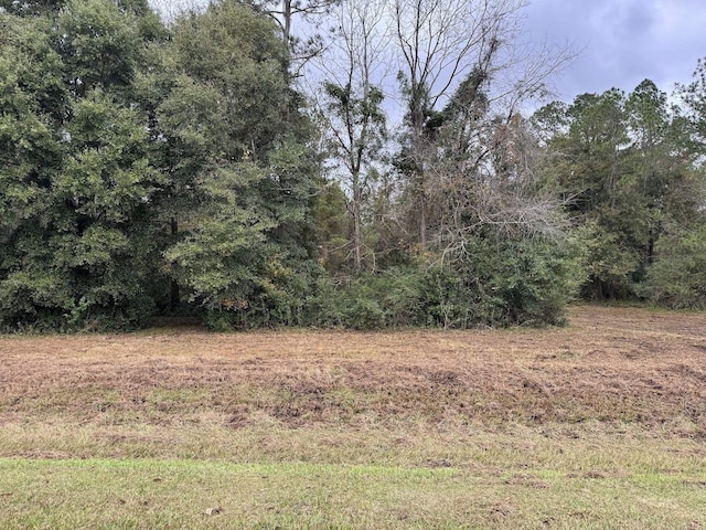 12 Raven Run, Havana, FL 32333 - photo 20