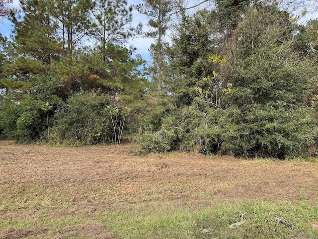 12 Raven Run, Havana, FL 32333 - photo 25