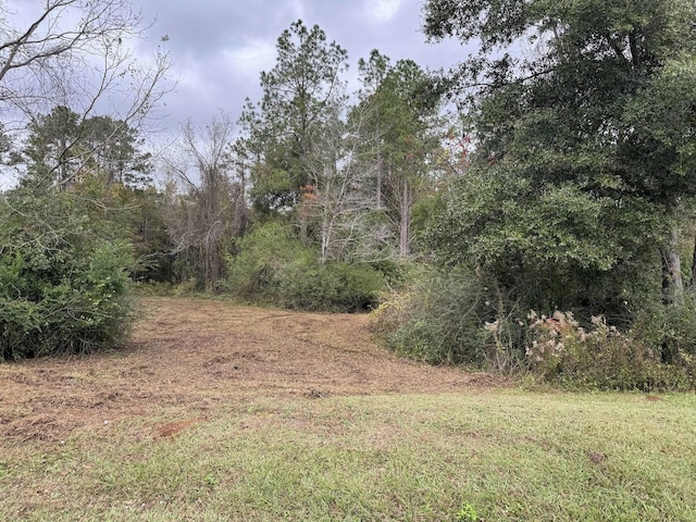 12 Raven Run, Havana, FL 32333 - photo 22