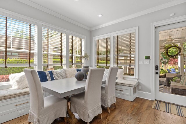 1216 Mitchell Ave, Tallahassee, FL 32303 - sunroom with a wealth of natural light