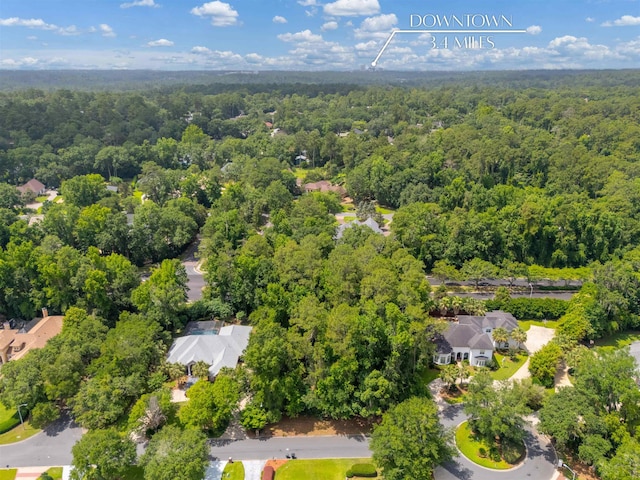 1333 Rachel Ln, Tallahassee, FL 32308 - photo 4