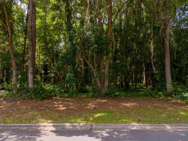 1333 Rachel Ln, Tallahassee, FL 32308 - photo 3