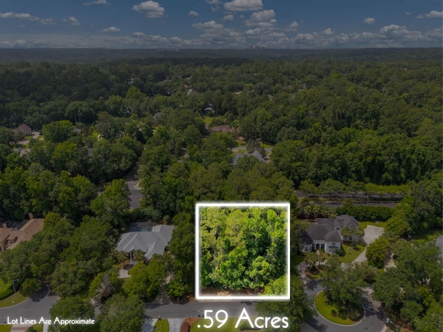 1333 Rachel Ln, Tallahassee, FL 32308 - photo 1