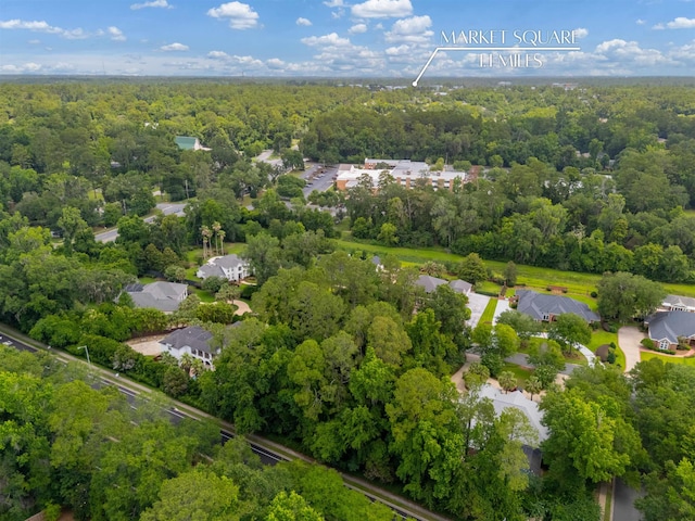 1333 Rachel Ln, Tallahassee, FL 32308 - photo 17