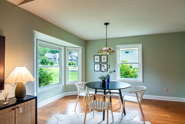 696 Lupine Ln, Tallahassee, FL 32308 - dining room featuring wood finished floors and baseboards