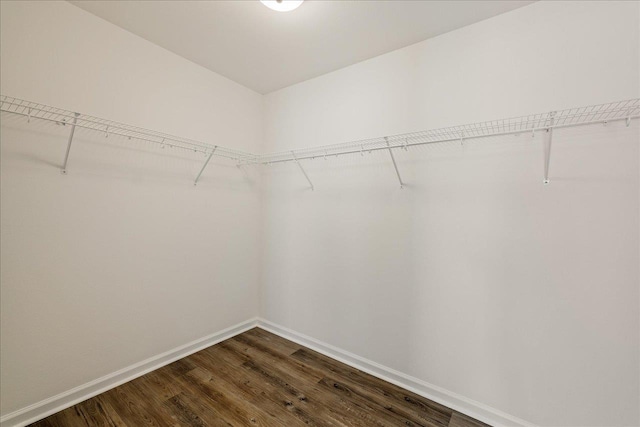 walk in closet featuring hardwood / wood-style flooring