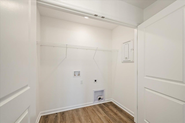 laundry room with dark wood-type flooring, washer hookup, and electric dryer hookup