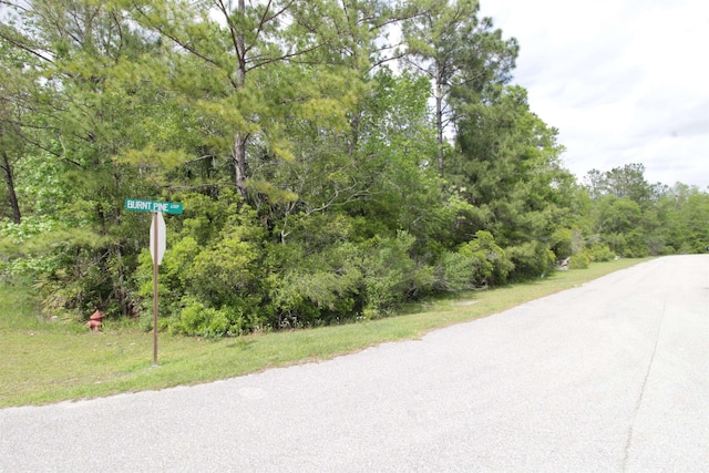 LOT41 Burnt Pine Loop, Saint Marks, FL 32355