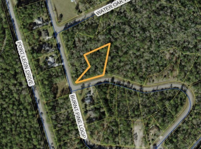 LOT41 Burnt Pine Loop, Saint Marks, FL 32355