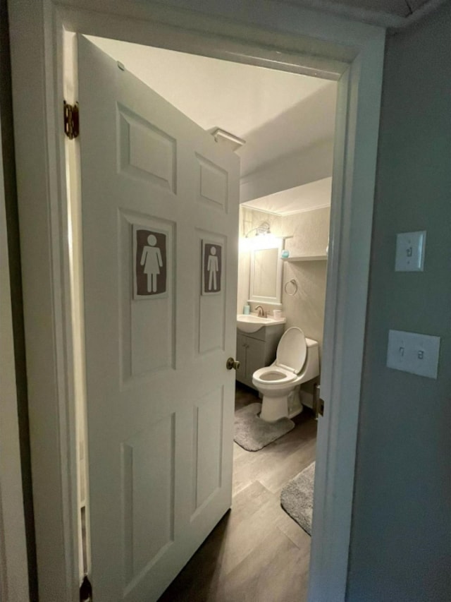 bathroom featuring hardwood / wood-style flooring, toilet, and sink