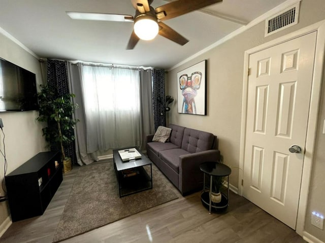 923 Hawthorne St, Tallahassee, FL 32308 - photo 28