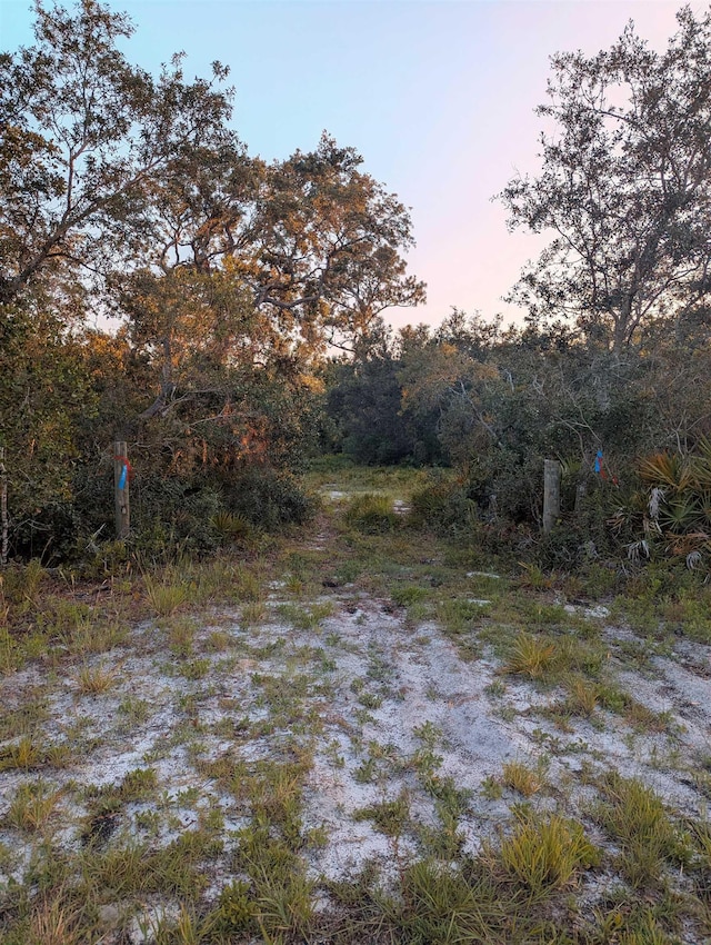 16539 W Royal Oak Dr, Keaton Beach, FL 32348