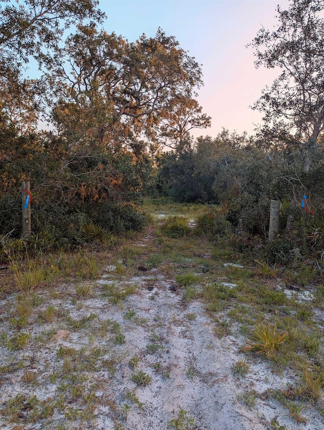 16539 W Royal Oak Dr, Keaton Beach, FL 32348