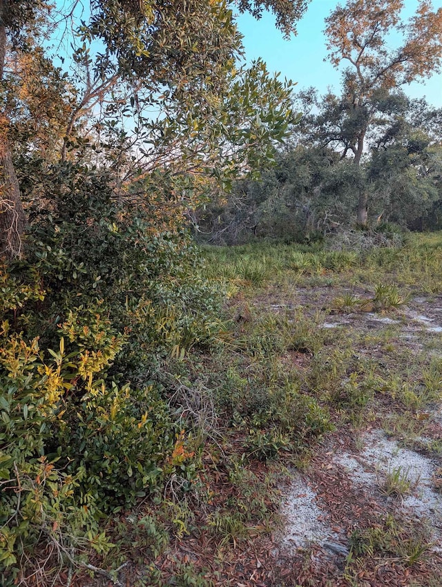16539 W Royal Oak Dr, Keaton Beach, FL 32348