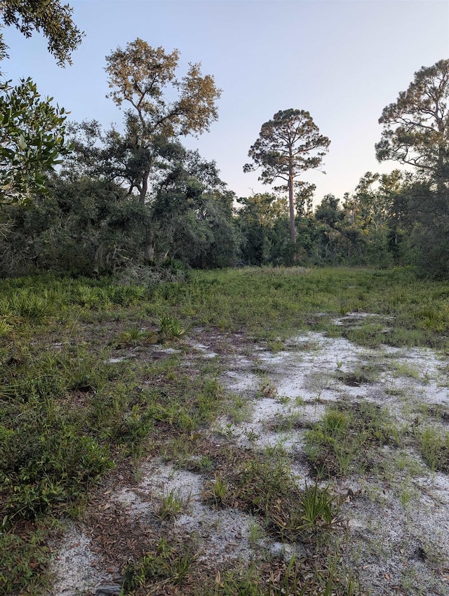 16539 W Royal Oak Dr, Keaton Beach, FL 32348