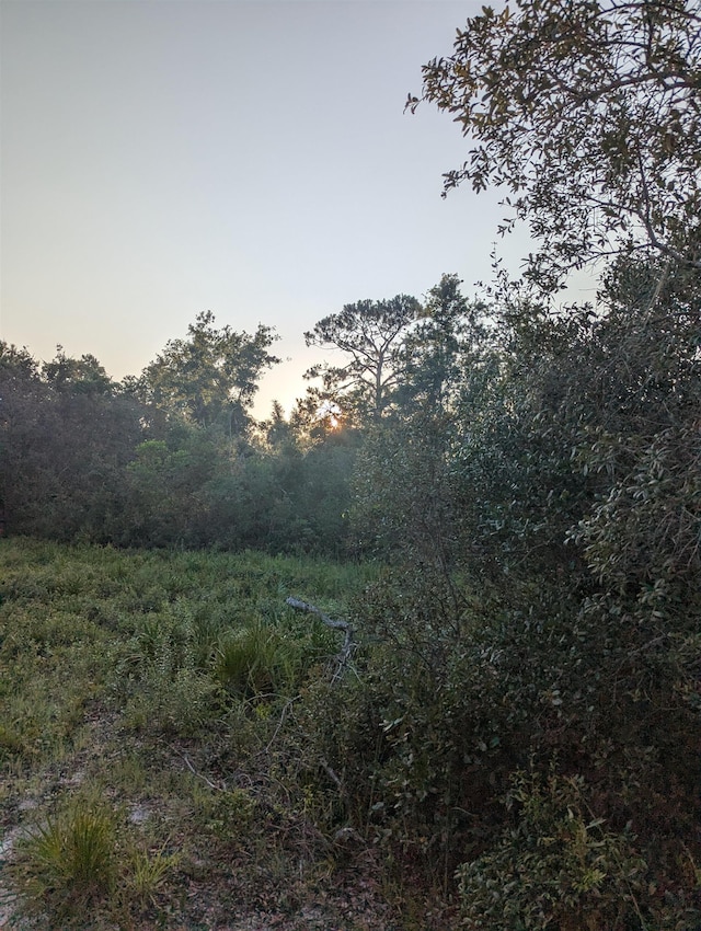16539 W Royal Oak Dr, Keaton Beach, FL 32348