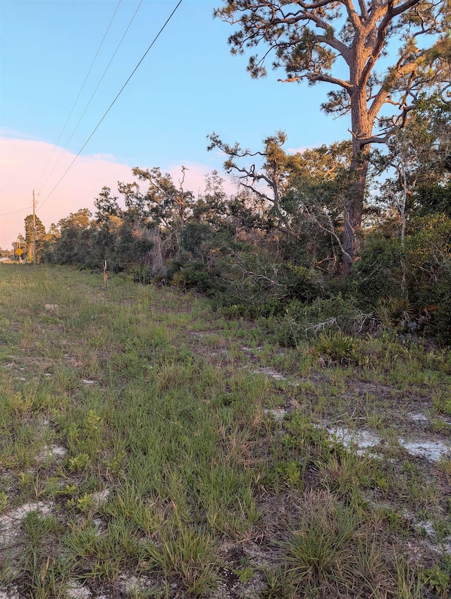 16539 W Royal Oak Dr, Keaton Beach, FL 32348