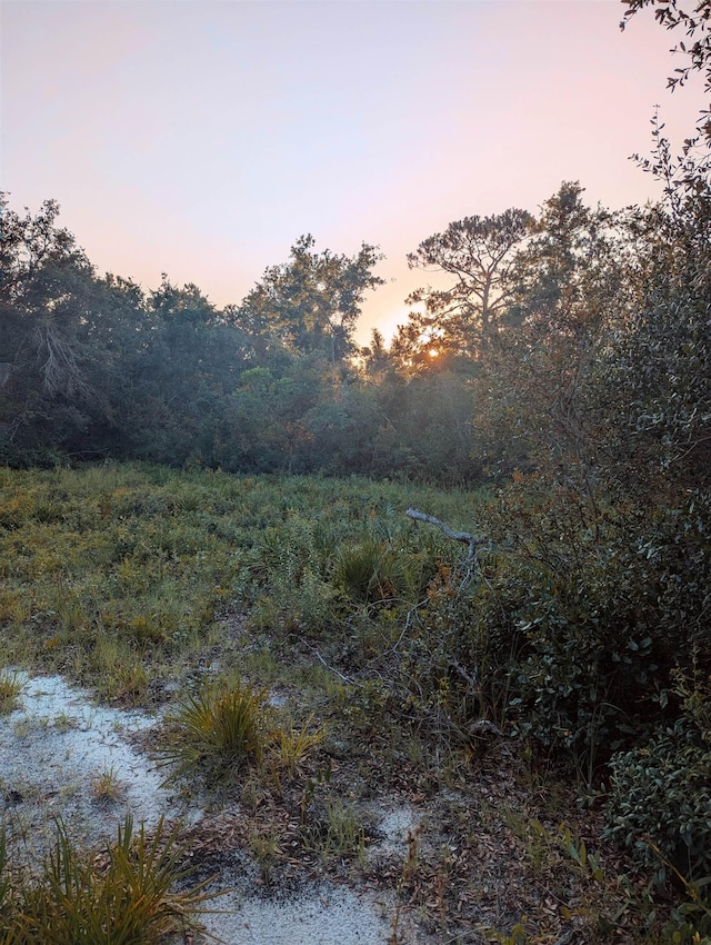 16539 W Royal Oak Dr, Keaton Beach, FL 32348