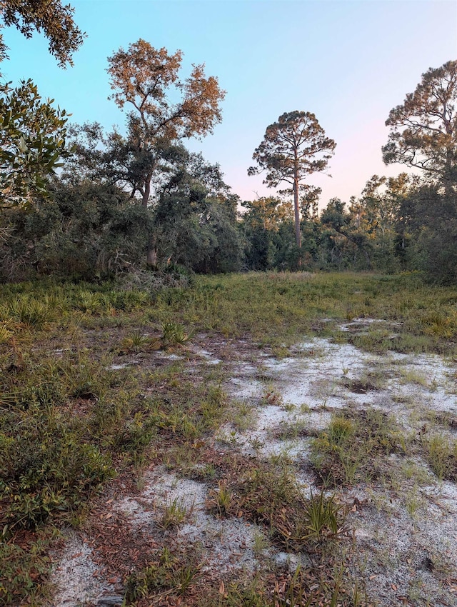 16539 W Royal Oak Dr, Keaton Beach, FL 32348