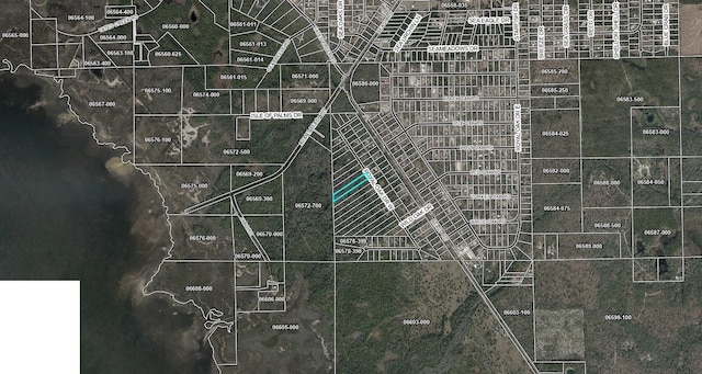 16539 W Royal Oak Dr, Keaton Beach, FL 32348