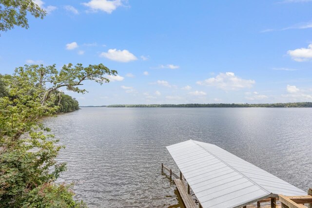 2769 Parramore Shores Rd, Tallahassee, FL 32310 - photo 33