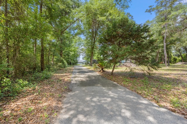 2769 Parramore Shores Rd, Tallahassee, FL 32310 - photo 38