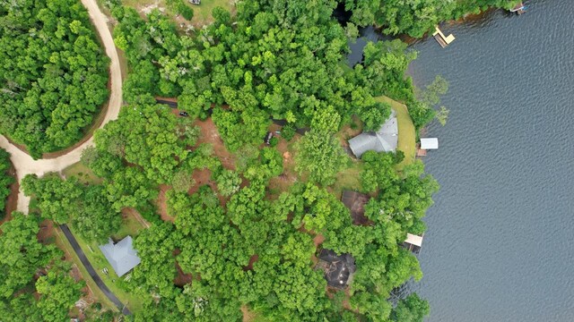 2769 Parramore Shores Rd, Tallahassee, FL 32310 - photo 39