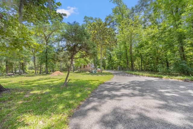 2769 Parramore Shores Rd, Tallahassee, FL 32310 - photo 37