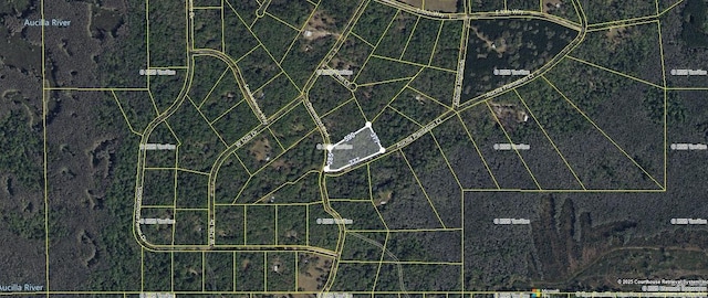 TBD Deerwood Blvd, Greenville, FL 32331 - photo 3