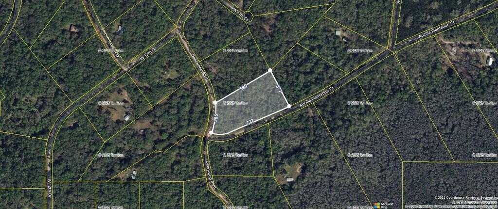 TBD Deerwood Blvd, Greenville, FL 32331 - photo 2