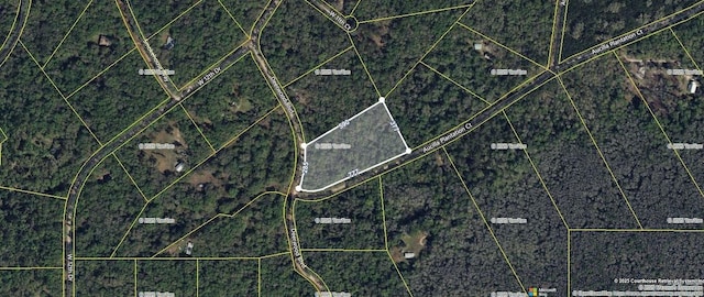 TBD Deerwood Blvd, Greenville, FL 32331 - photo 2