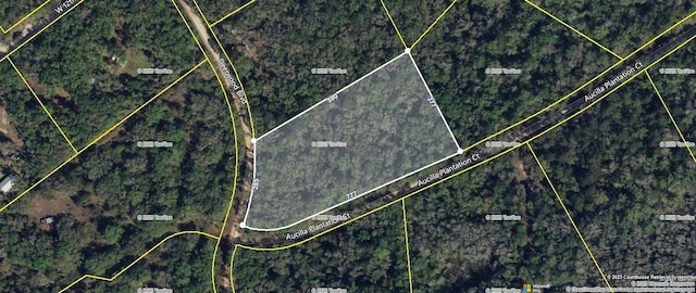 TBD Deerwood Blvd, Greenville, FL 32331 - photo 1
