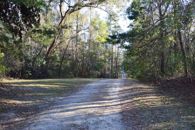 000 Flamingo Ct None, Unit None, Monticello FL, 32344 land for sale