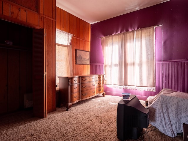 living area featuring carpet flooring and wooden walls