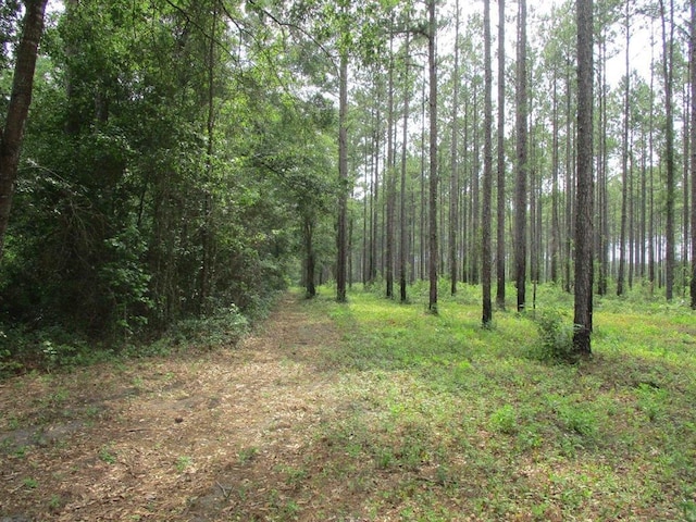 Address Not Disclosed, Monticello FL, 32344 land for sale