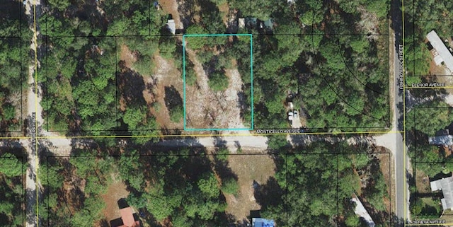 XXX Monticello Ave Unit 1, Panacea FL, 32346 land for sale