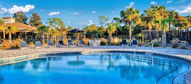 view of pool featuring a patio area