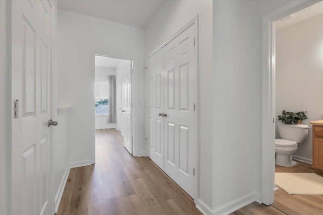 4312 Four Oaks Blvd, Tallahassee, FL 32311 - corridor with light wood finished floors