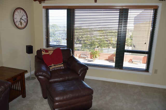 sitting room featuring carpet floors