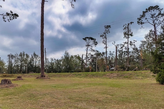 491 NE Dusty Miller Ave, Madison, FL 32340 - view of grassy yard
