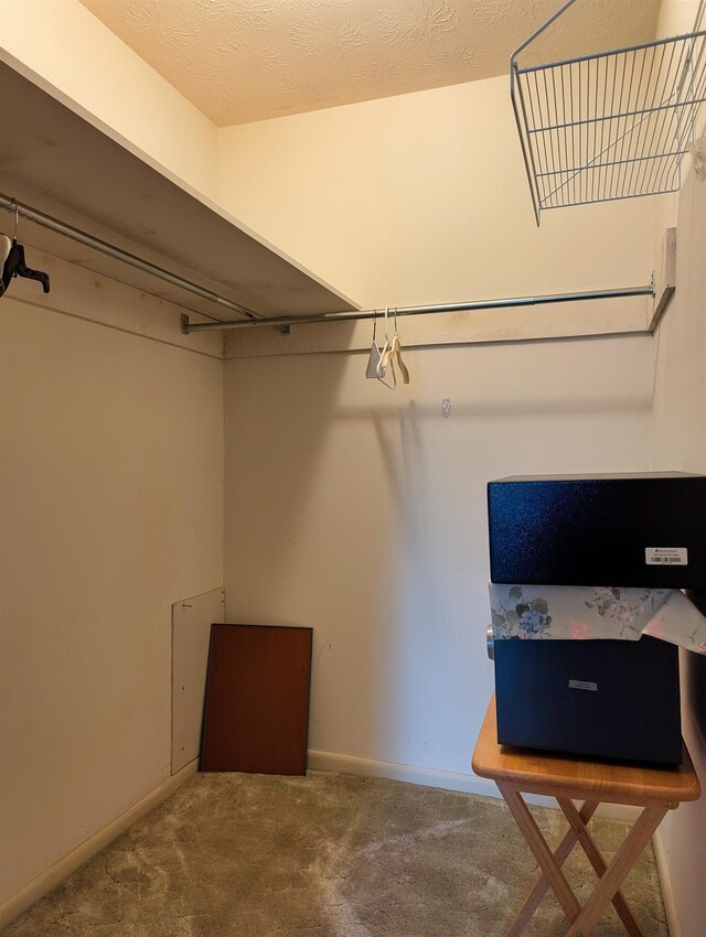 491 NE Dusty Miller Ave, Madison, FL 32340 - spacious closet featuring carpet flooring
