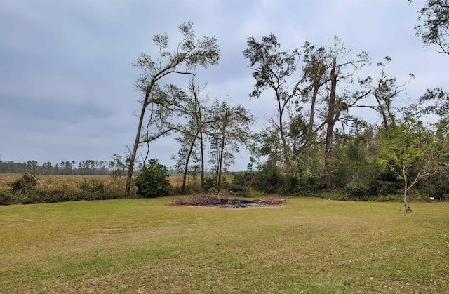 491 NE Dusty Miller Ave, Madison, FL 32340 - view of green lawn