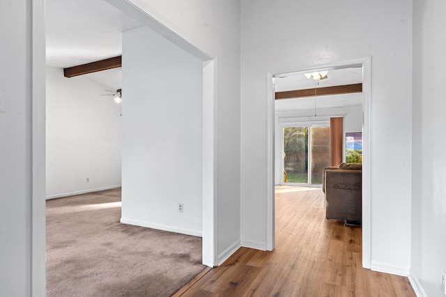 1909 Ermine Ct, Tallahassee, FL 32308 - hall with beamed ceiling and wood finished floors