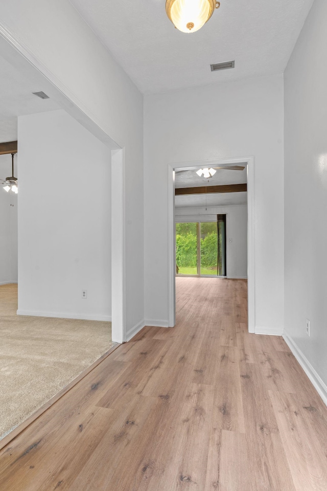 1909 Ermine Ct, Tallahassee, FL 32308 - photo 4