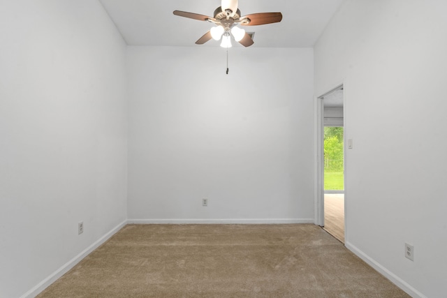 1909 Ermine Ct, Tallahassee, FL 32308 - photo 15