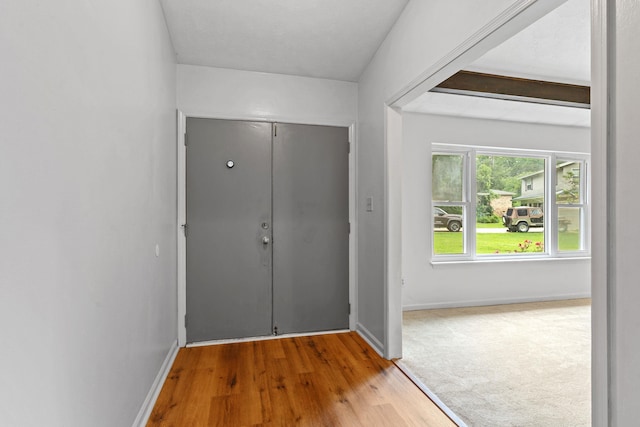1909 Ermine Ct, Tallahassee, FL 32308 - photo 3