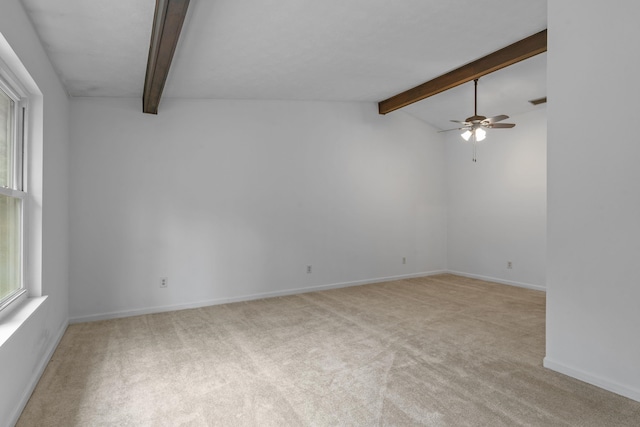 1909 Ermine Ct, Tallahassee, FL 32308 - photo 13