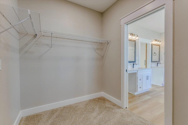 walk in closet featuring light carpet