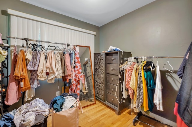 spacious closet with wood-type flooring