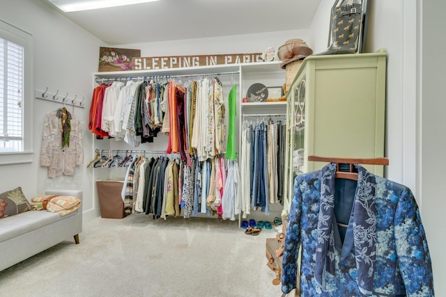 spacious closet with carpet flooring
